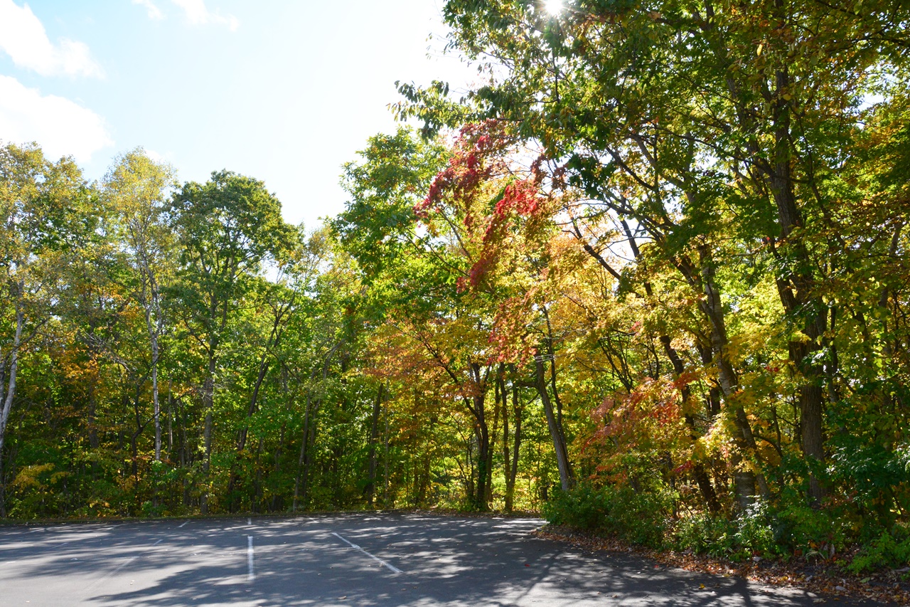 Daun Musim Gugur Di Taman Chitose Aoba 千歳青葉公園の紅葉 Japan Indonesia Blog