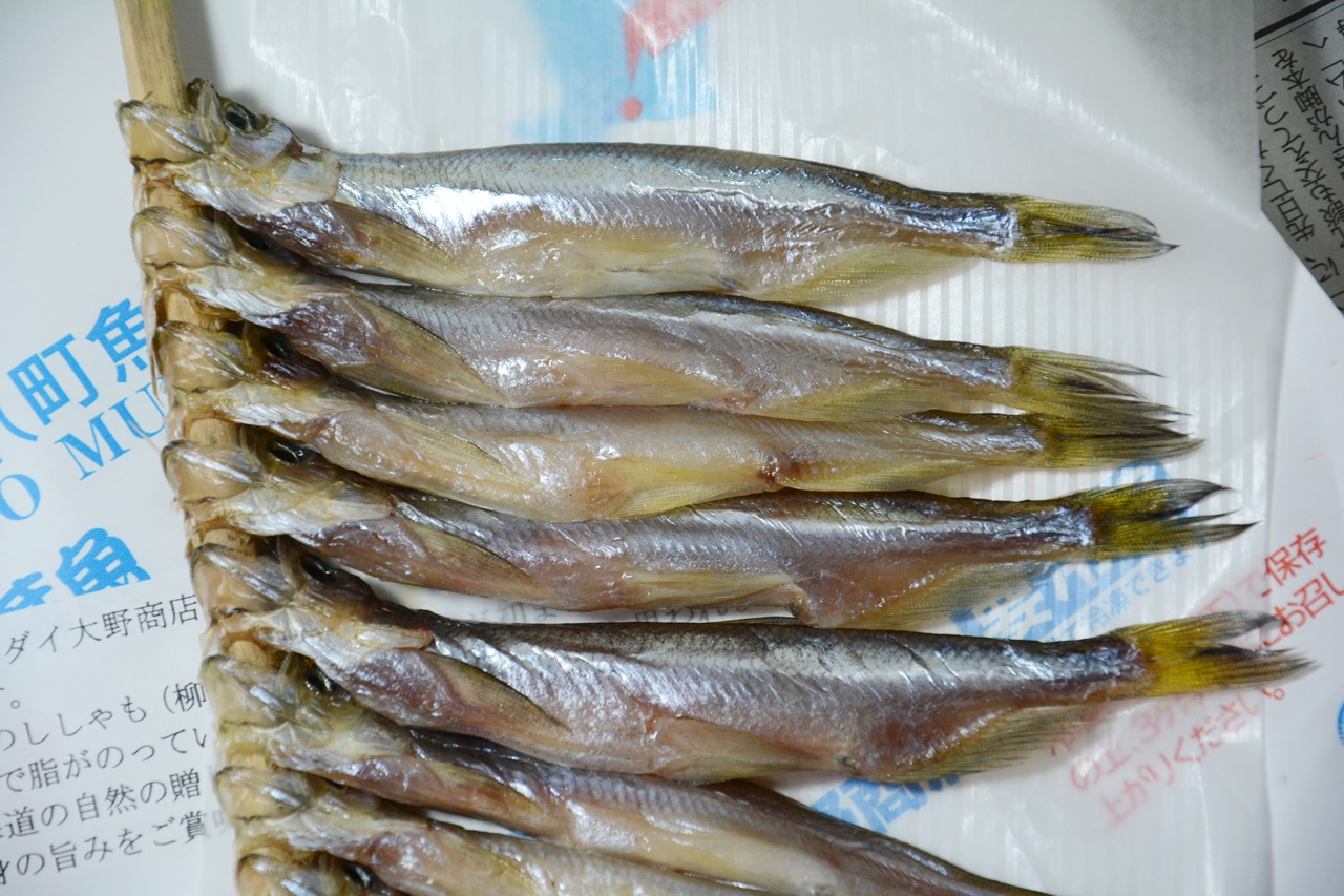Ikan Shishamo Dari Mukawa 鵡川ししゃも Japan Indonesia Blog