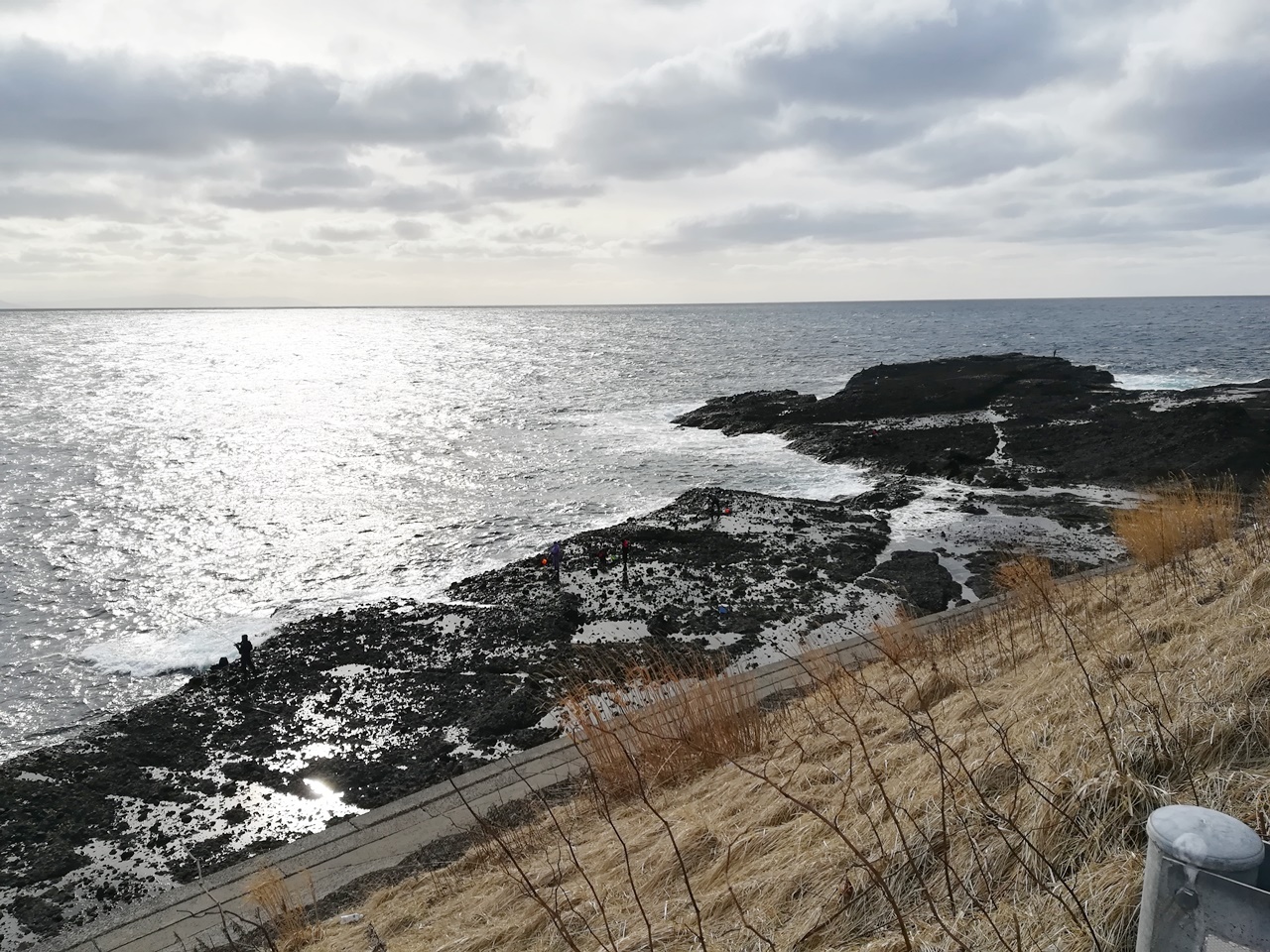 Memancing Di Desa Tomari Kabutosenjojiki 泊村兜千畳敷でのホッケ釣り Japan Indonesia Blog