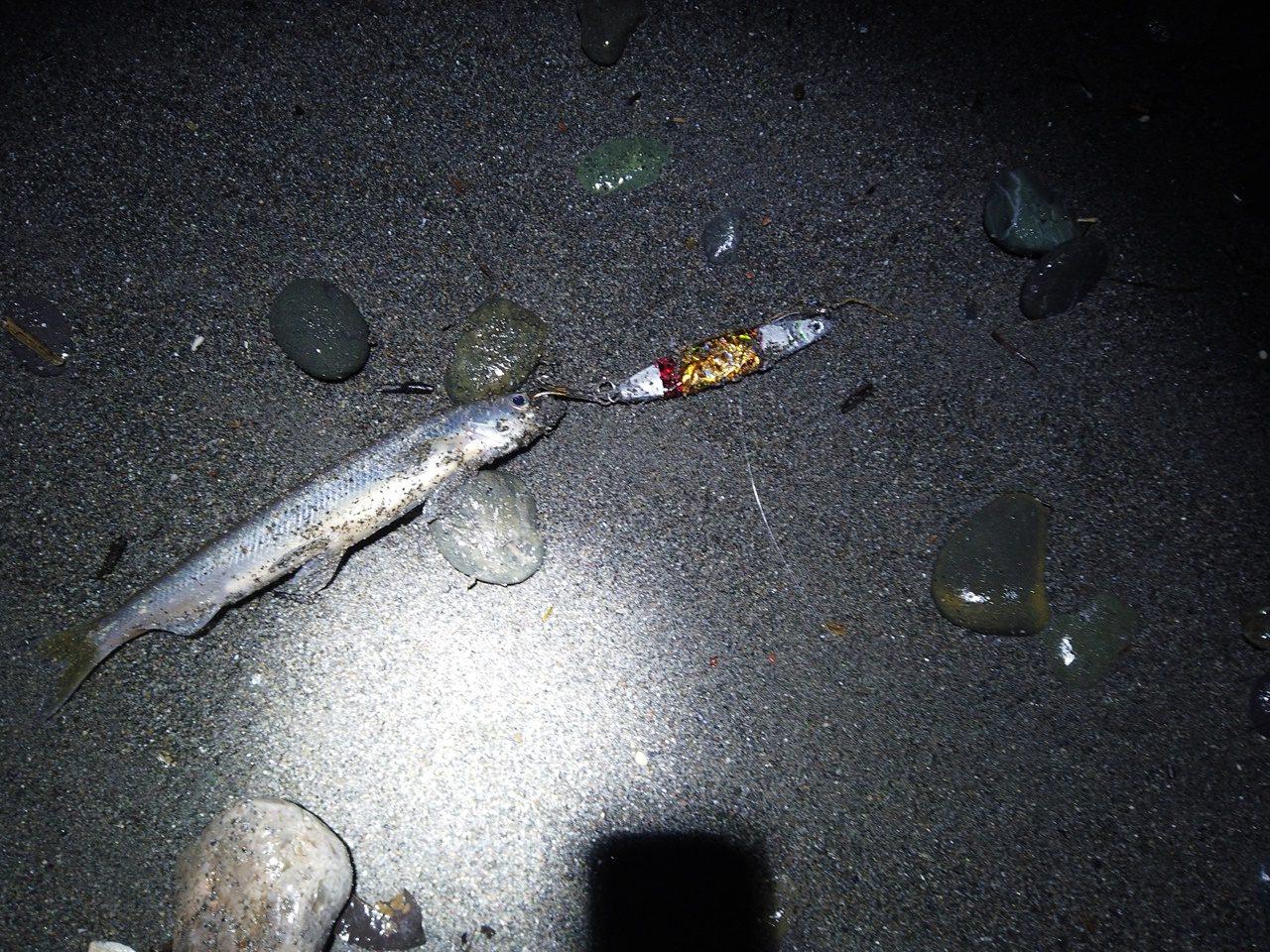 Sakuramasu Jigging Mancing サクラマスを狙った釣り 苫小牧サーフ Japan Indonesia Blog