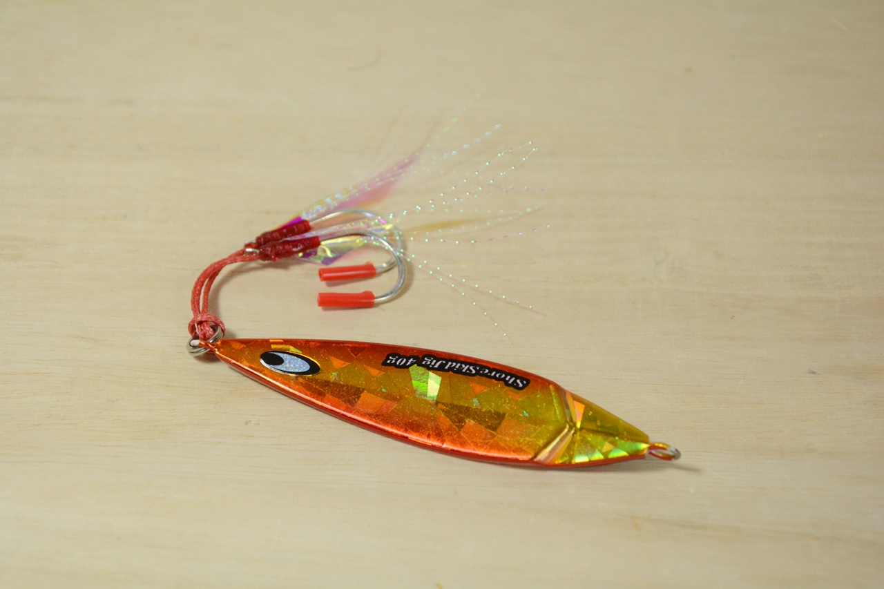 ショアスキッドジグ Japan Indonesia Blog