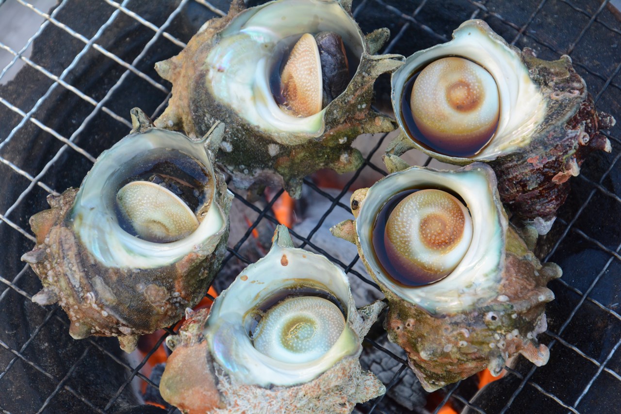 q Kerang Hamaguri Sazae Makanan Laut ハマグリとサザエの海鮮贅沢バーベキュー Japan Indonesia Blog