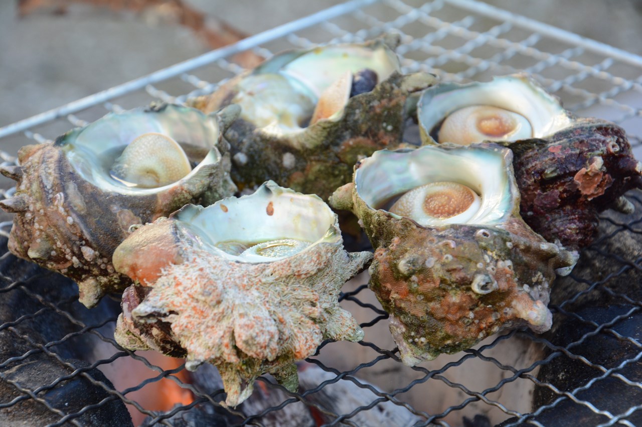 q Kerang Hamaguri Sazae Makanan Laut ハマグリとサザエの海鮮贅沢バーベキュー Japan Indonesia Blog