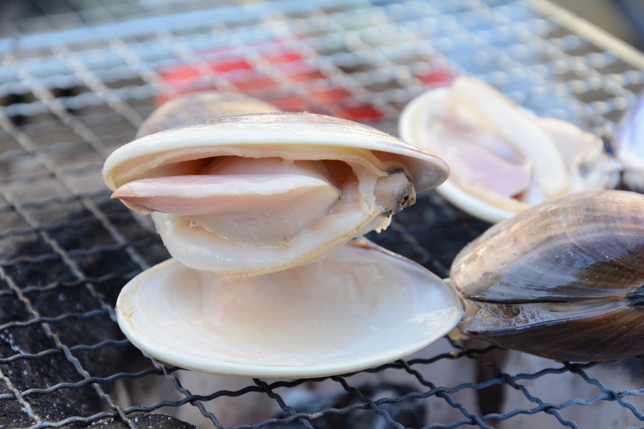q Kerang Hamaguri Sazae Makanan Laut ハマグリとサザエの海鮮贅沢バーベキュー Japan Indonesia Blog