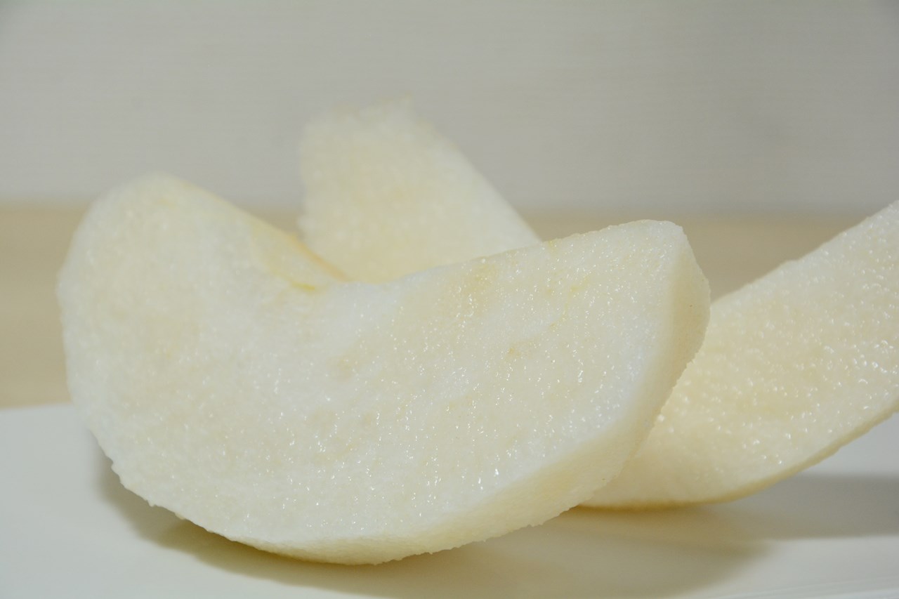 梨 Japan Indonesia Blog