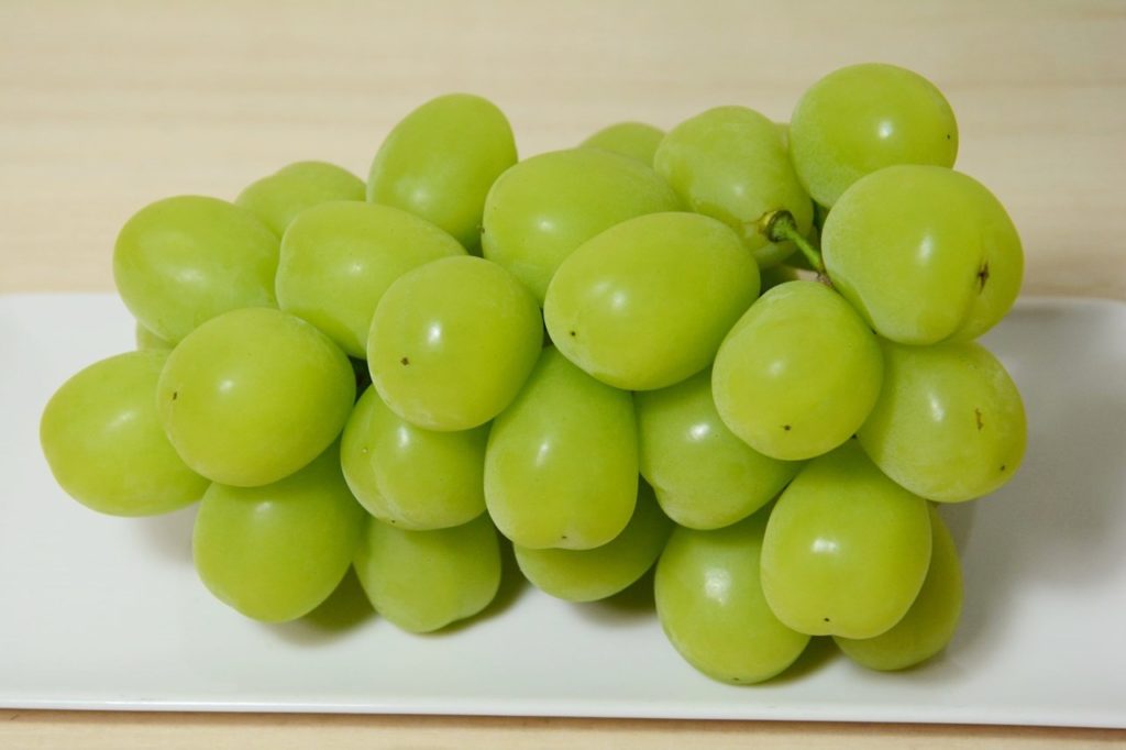 Shine Muscat Japan Indonesia Blog