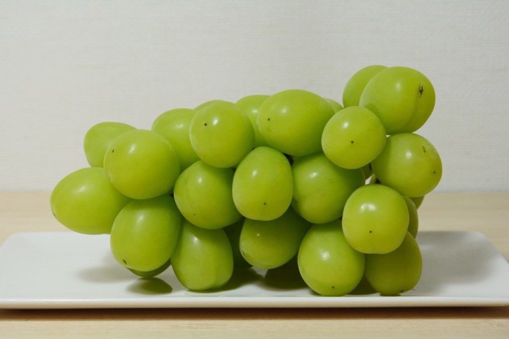 Shine Muscat Japan Indonesia Blog