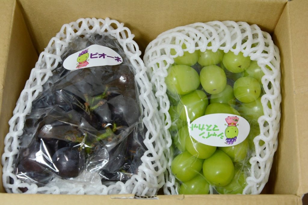 Shine Muscat Japan Indonesia Blog