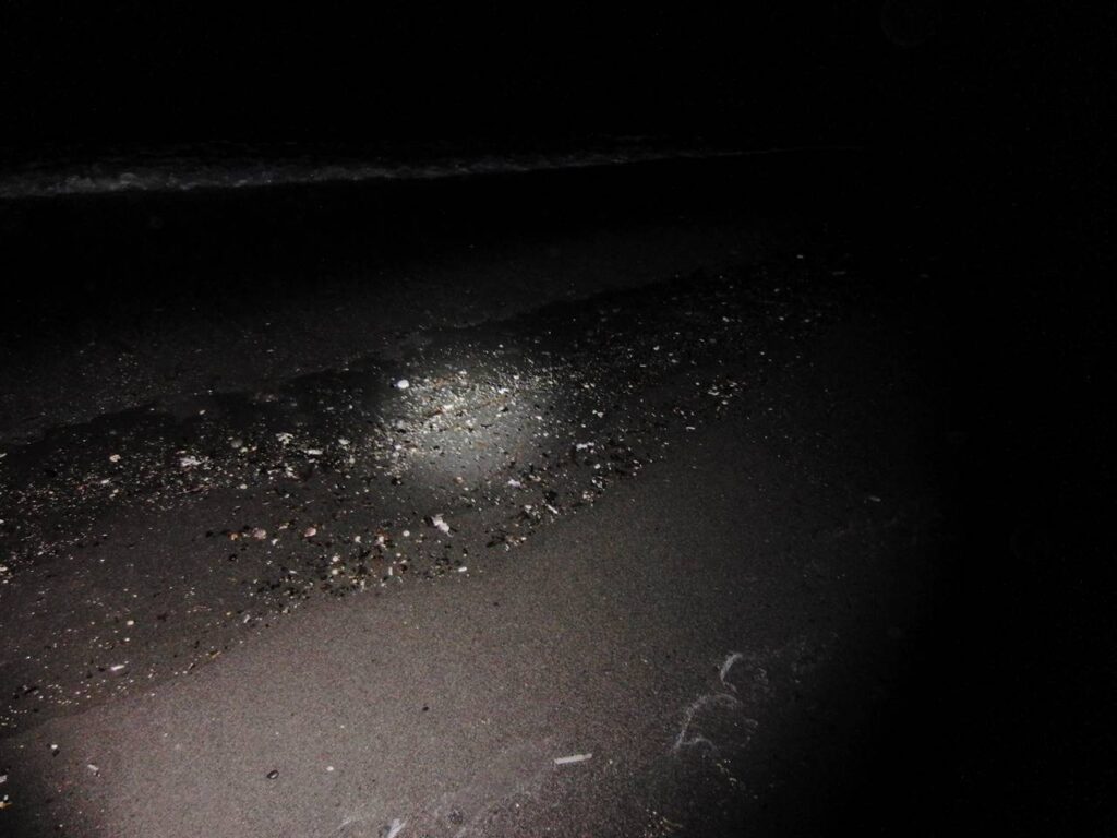 サクラマス狙いの釣り 苫小牧サーフ 全然釣れない Memanching Di Tomakomai Hokkaido Japan Indonesia Blog