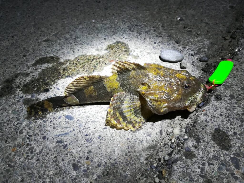 Mancing 釣り Japan Indonesia Blog