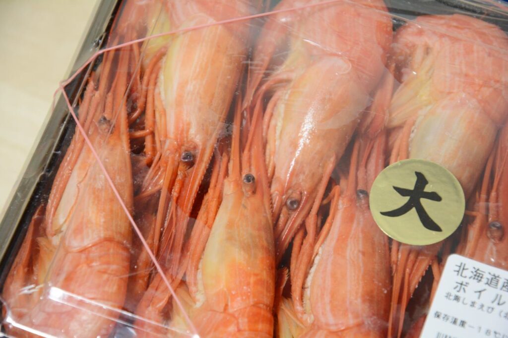 北海シマエビ Japan Indonesia Blog
