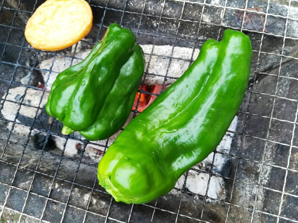 庭でのバーベキュー 松阪牛編 q Di Rumah Daging Sapi Matsusaka Japan Indonesia Blog