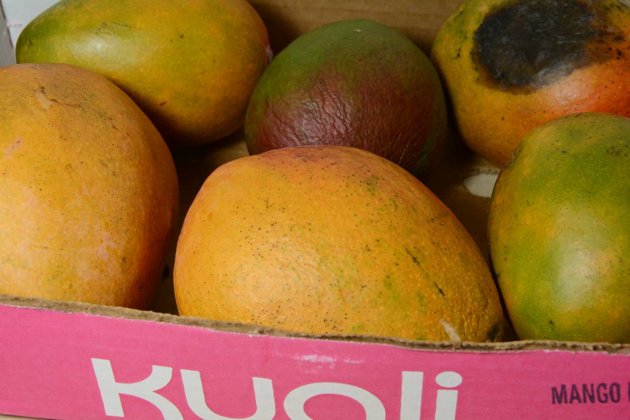 Costco Japan Indonesia Blog